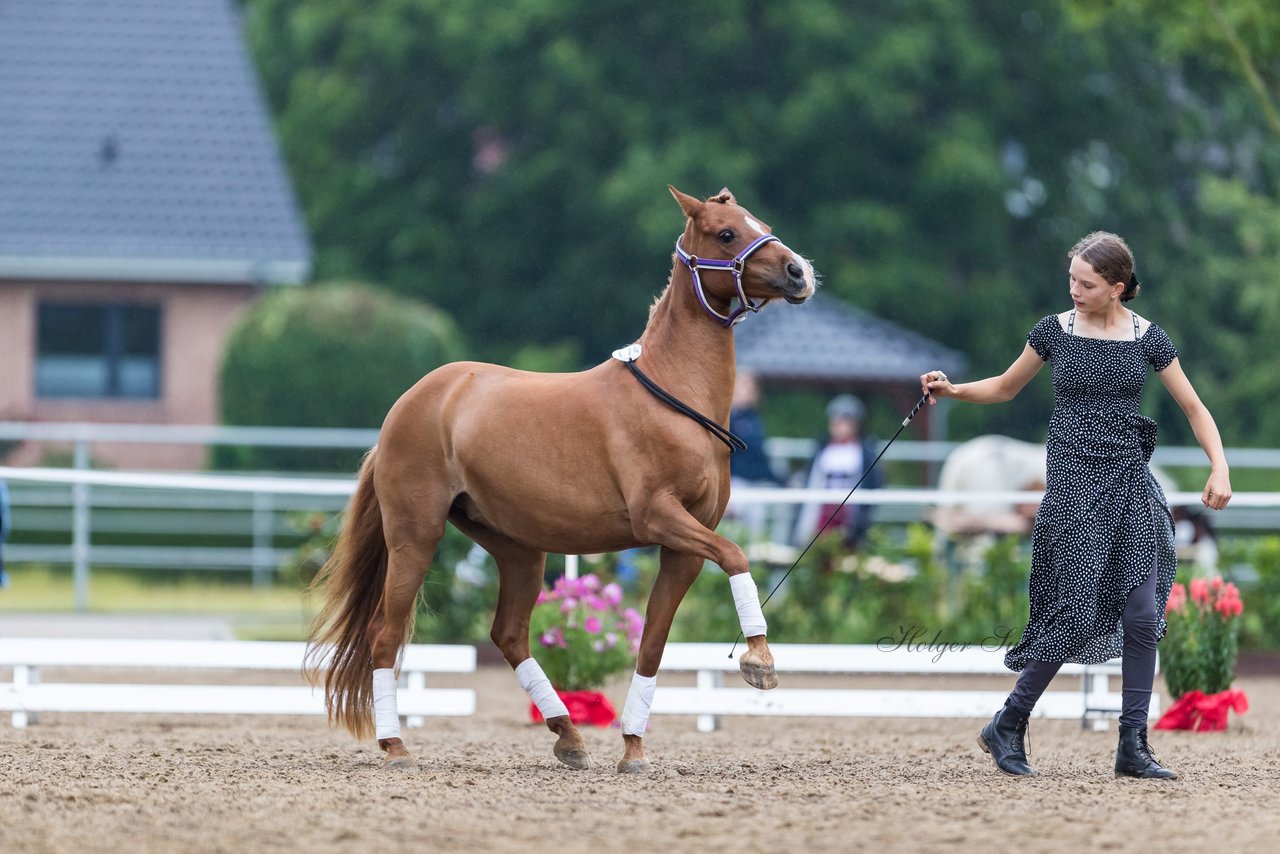 Bild 149 - Pony Akademie Turnier